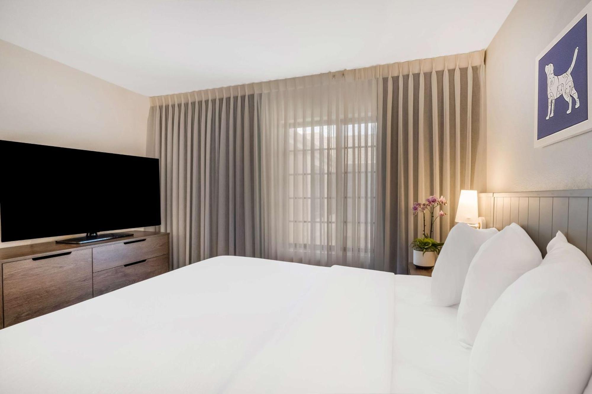 Sonesta Es Suites San Jose - Airport Bagian luar foto